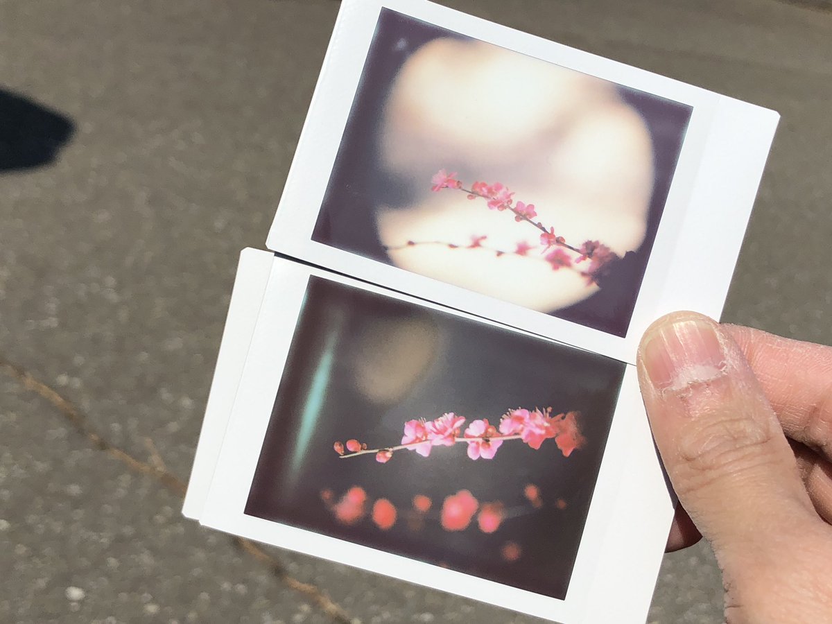 utut_photo's tweet photo. レンズ交換式で好きなオールドレンズが使えるチェキ「NONS SL 42」のレビューです。オールドレンズ好きは楽しいこと間違い無しです‼️
https://t.co/n1Rs5sZmrn
#nonssl #nonscamera #nonssl42 #チェキ #instax #オールドレンズ #写真好きな人と繋がりたい #ファインダー越しの私の世界 https://t.co/8LVCFD9hFz