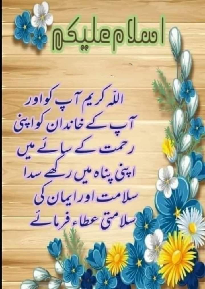 Rana Hameed tweet media