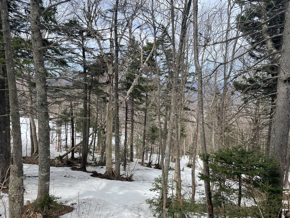 Still turning ⛷⛷🤙🤙