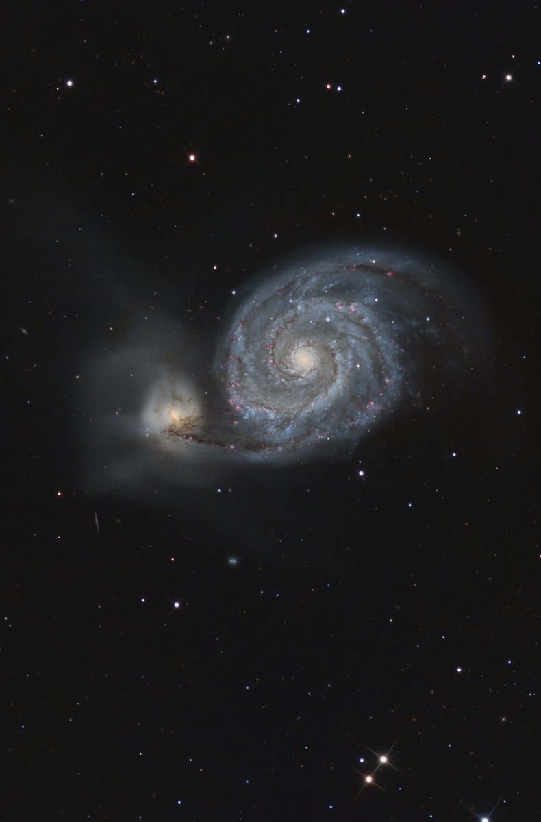 Gift for you <a href="/elonmusk/">Elon Musk</a> .  For Twitter to look more cute I post my picture of Galaxy Messier 51!! I hope you like it! ♾🔭