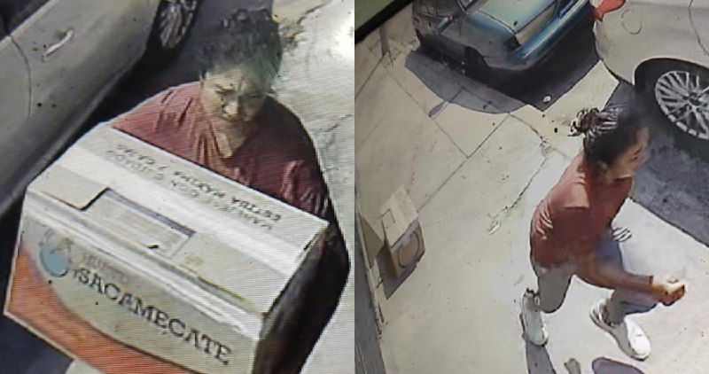 SinEmbargoMX's tweet photo. #VIDEO: Mujer abandona caja con ocho cachorros en la CdMx; mueren por el calor https://t.co/LubSrcrZp8 https://t.co/yZFumLeplE
