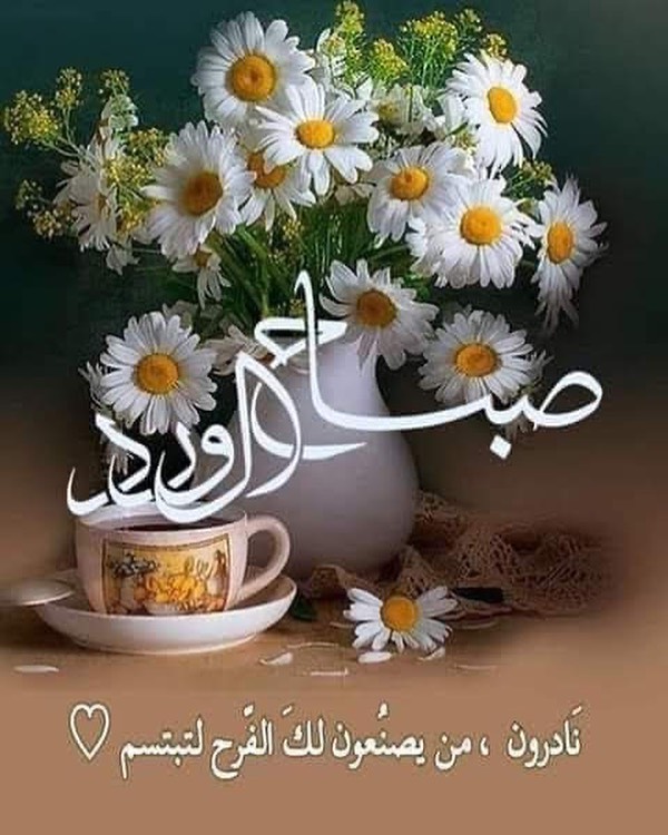صباح الخير
لكل من
ابتغى فرصة جديدة
مع شروق الشمس
لكل من أرهق قلبه الليل
ولم يأبه واستعد للصباح
 للذين دفنوا الخيبات 
بين طيات الفجر
 واستيقظوا مع الأمل
 للمتفائلين بأنهم قادرون
 على إصلاح ما افسده
 الجميع في قلوبهم
 صباحكم سعادة وخير ☺
وورد أينماكنتم....
