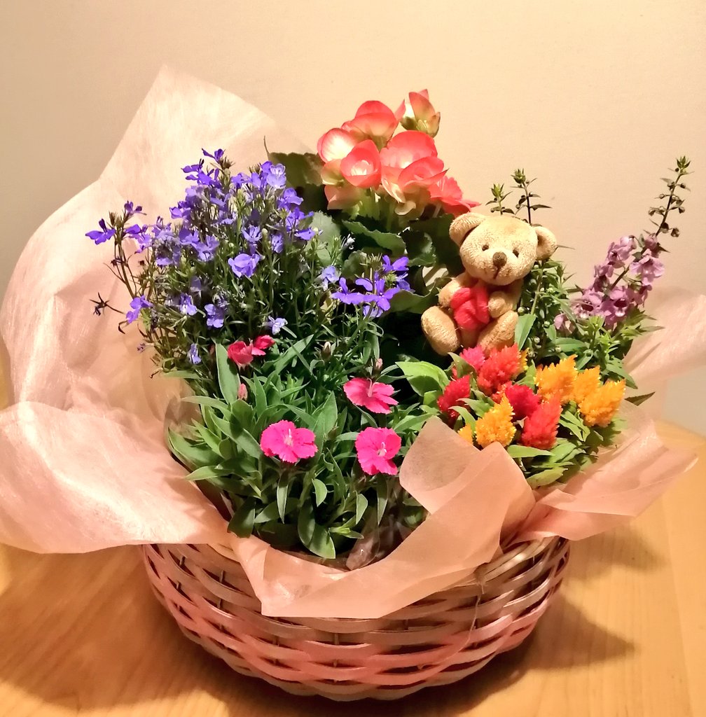 々 Sttknoma Twitter