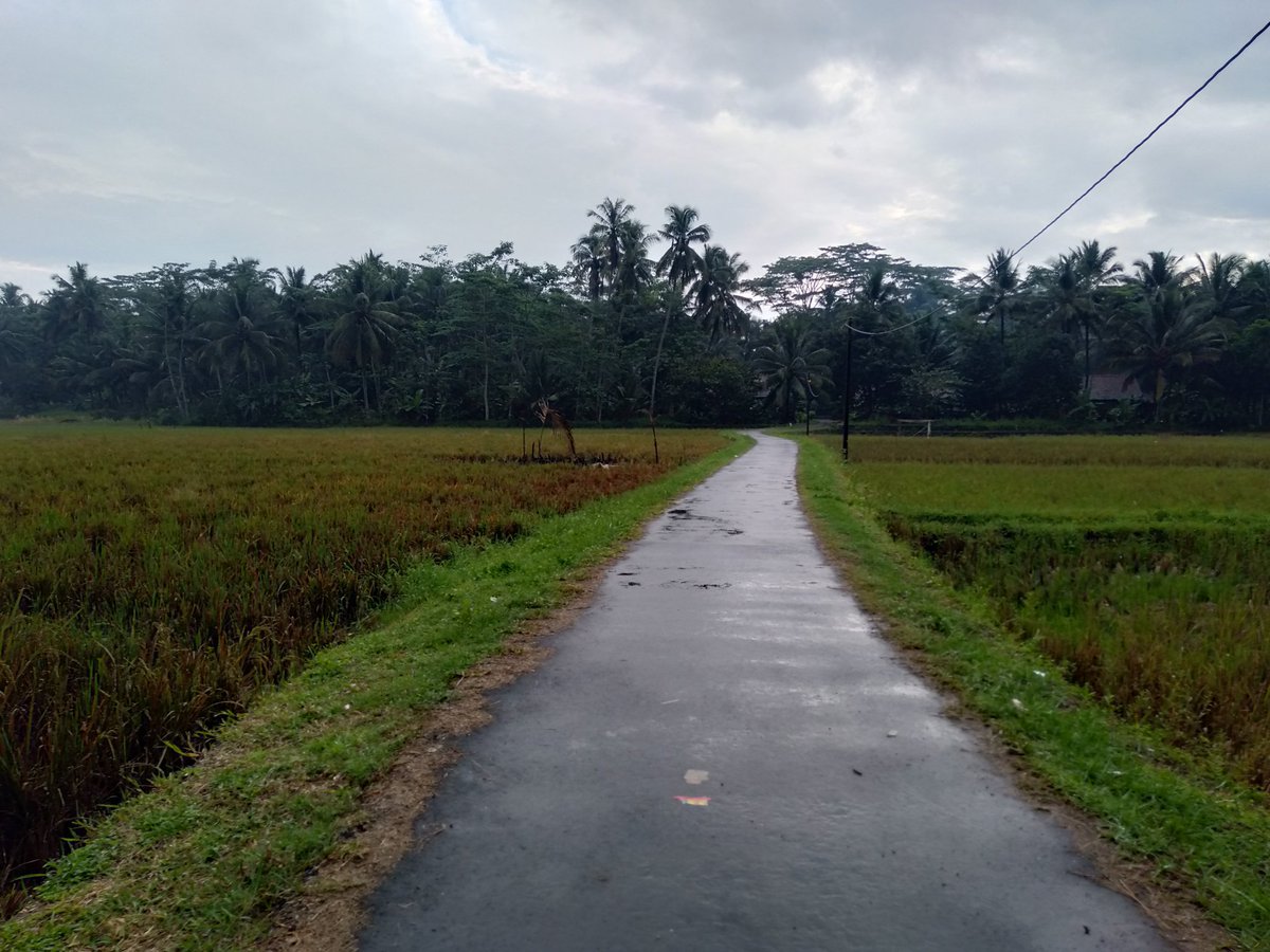 Ini jalan lurusku yg agak belok dikit