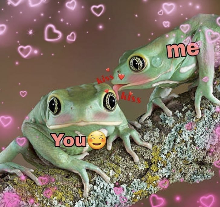 froggo memes on Twitter "https//t.co/3uPSs2GpuT" / Twitter(04)