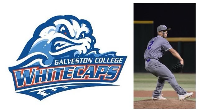 David Gamez tweet media