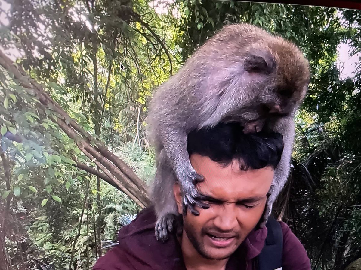 cryptoady's tweet photo. Convinced my friend to buy some Bitcoin yesterday- This is him today.

No longer friends. https://t.co/b1LbC1EXHF