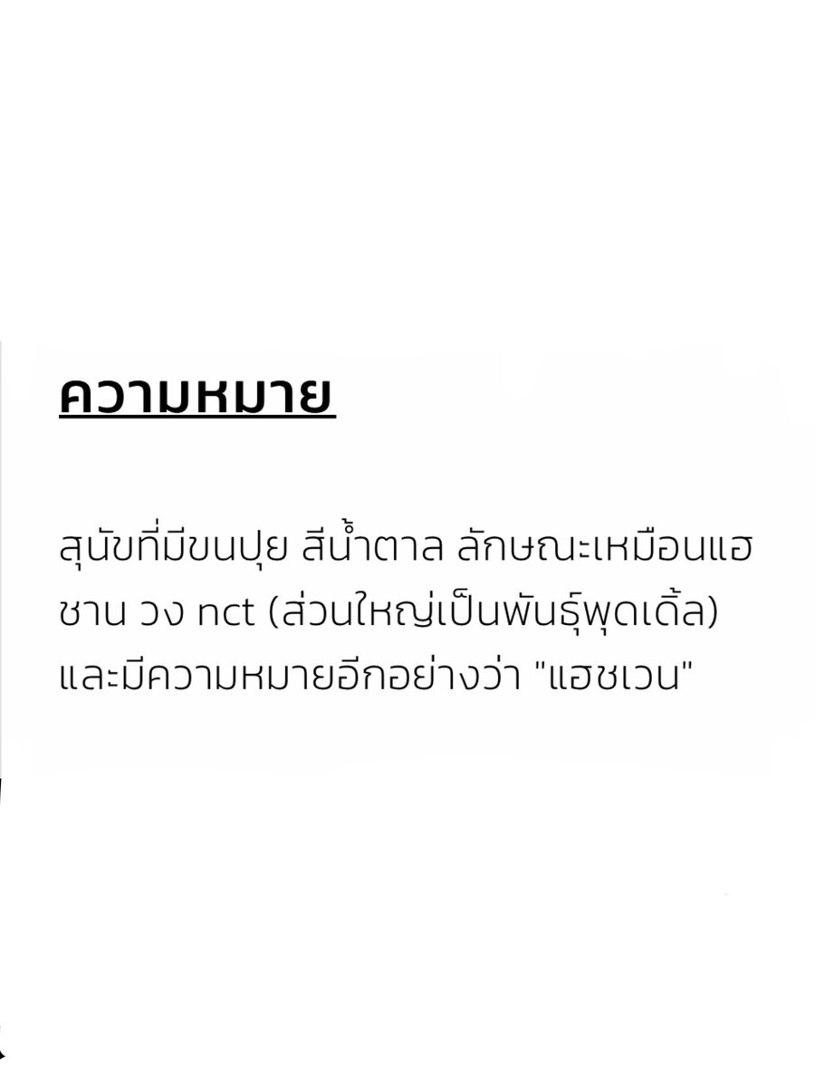 porjor (busy) tweet media