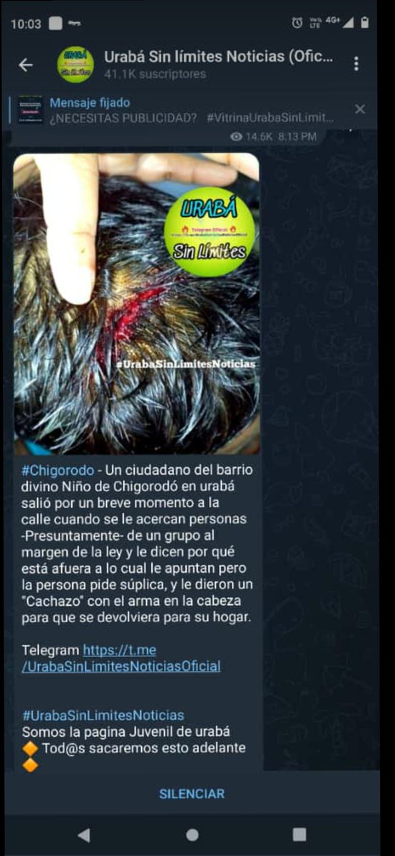 JuanAndresLond's tweet photo. #ParoArmado #Chigorodo https://t.co/xyPROuYH6G
