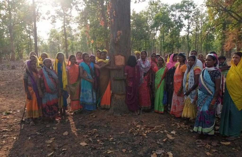 Mangles83504384's tweet photo. #SaveHasdeoAranya
#SaveHasdev 
#StandWithAdivasis 
It is not only tree,it is our life and we dependent with that. https://t.co/a0qcOalEuQ