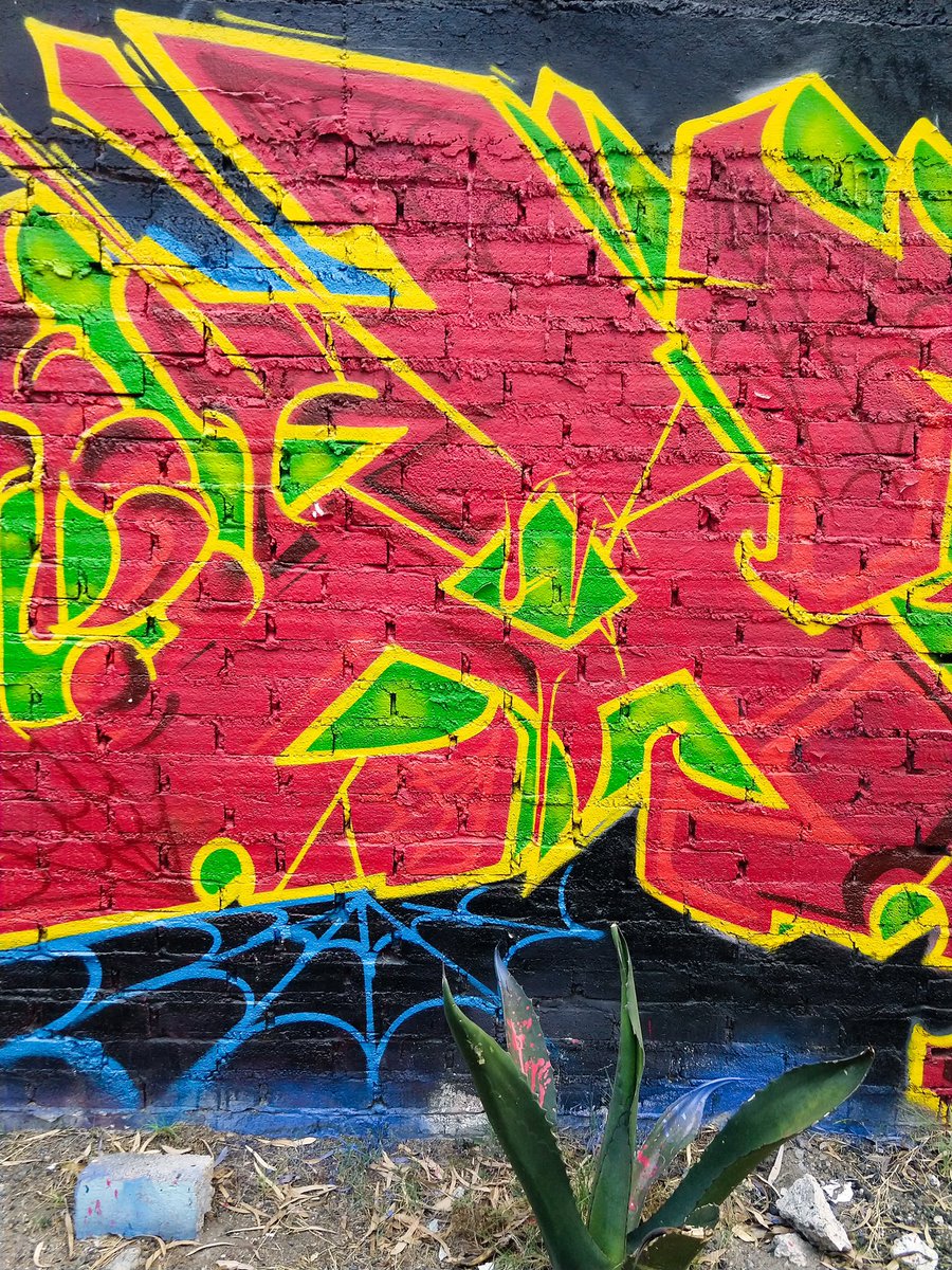 ratkidscru_offi's tweet photo. @aser7s #aser #aser7 #graffiti #graffitimexico #rkc #photography #photographyartist #cmdx #ciudaddemexico https://t.co/z1v7piTfqf