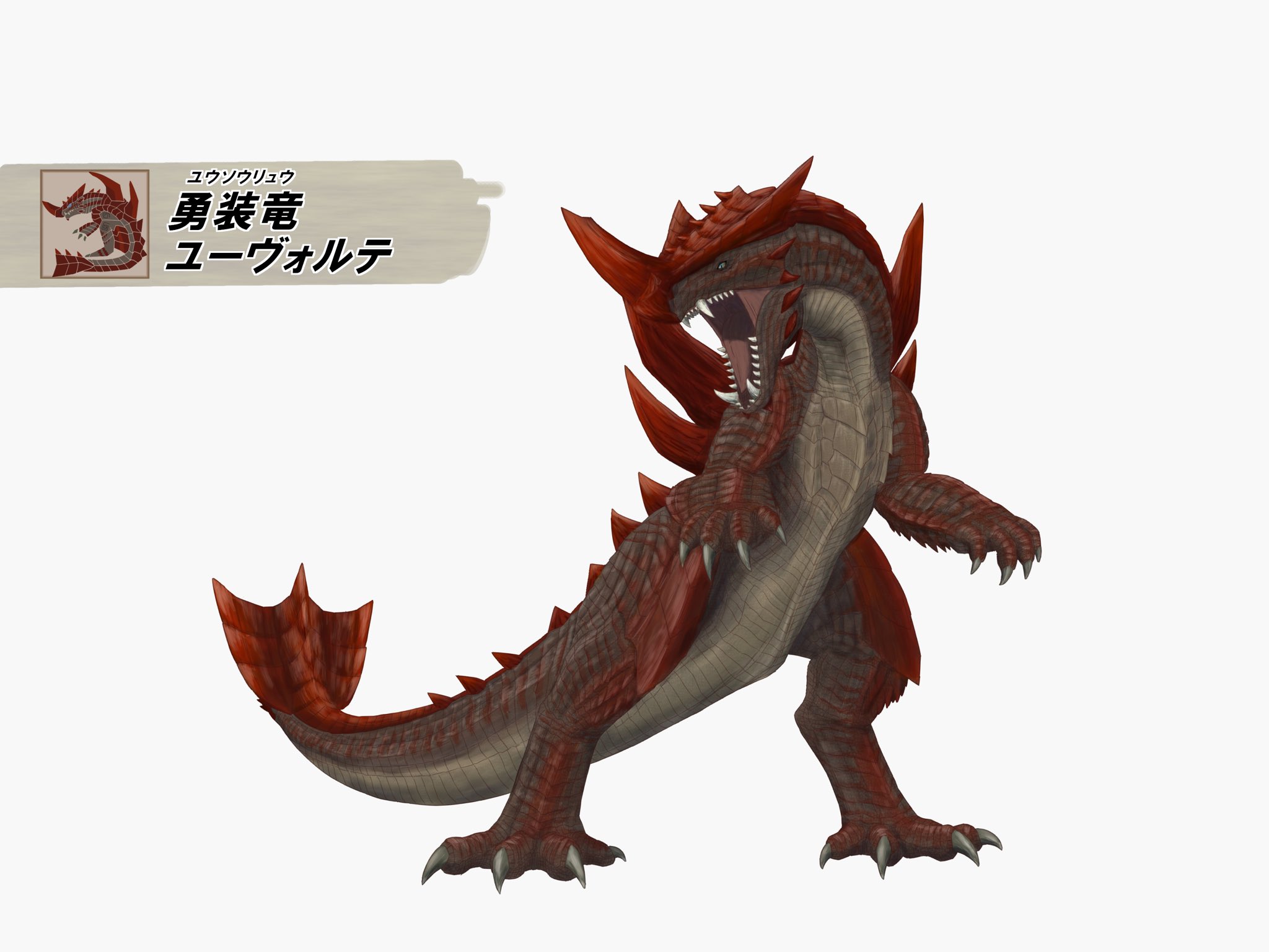 野獣•ドラクエ•モンハン☆ ユーフォルビア クラビゲラ 大型優良