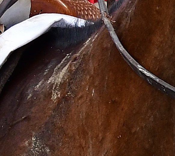 Frances J Karon tweet media