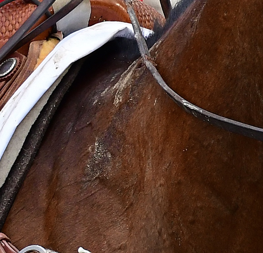 Frances J Karon tweet media