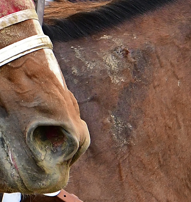 Frances J Karon tweet media