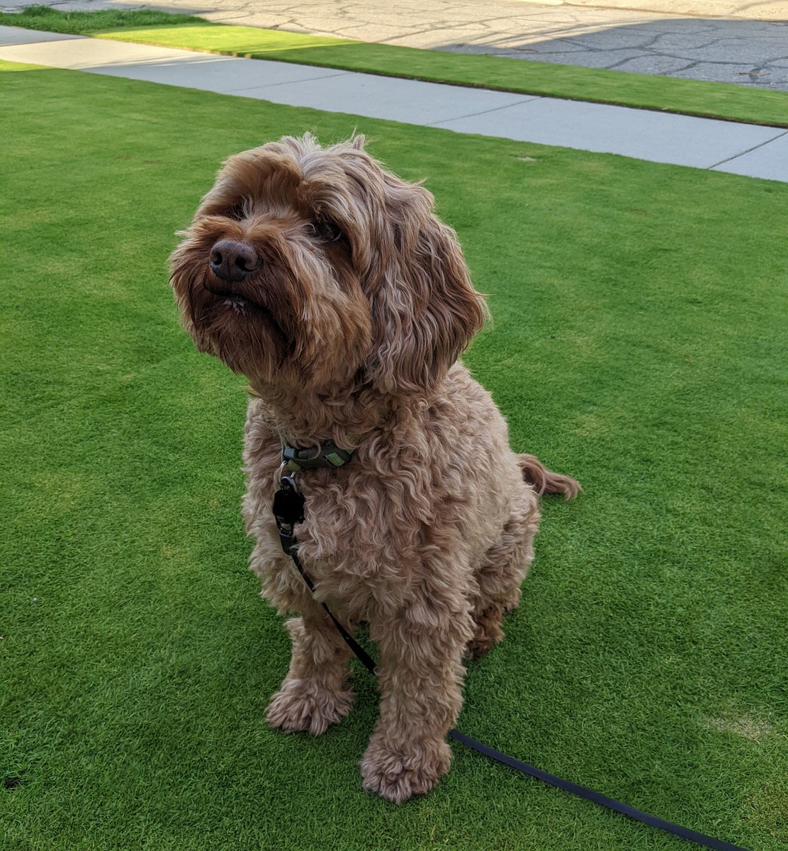 Ben werthmann tweet media