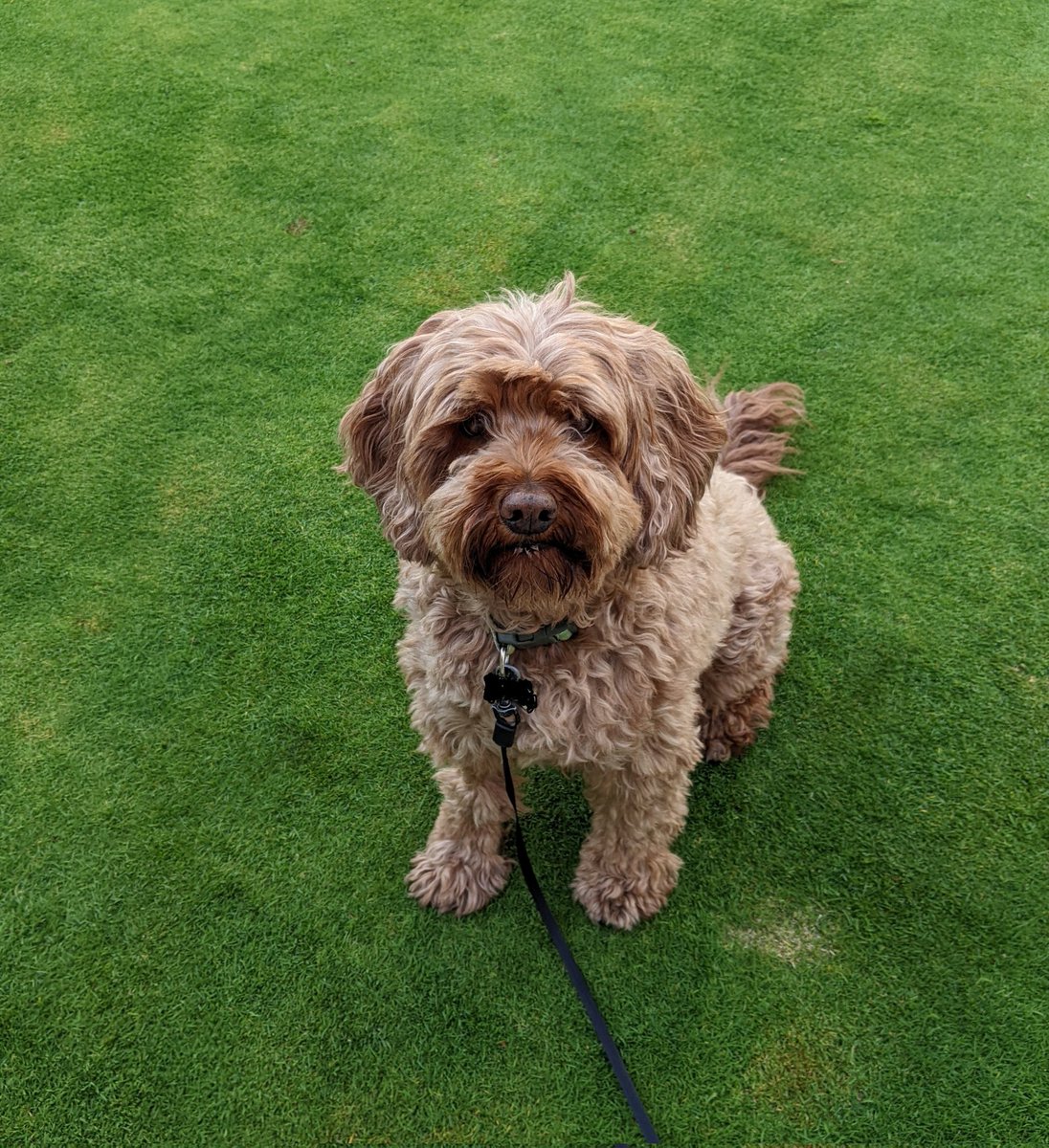 Ben werthmann tweet media