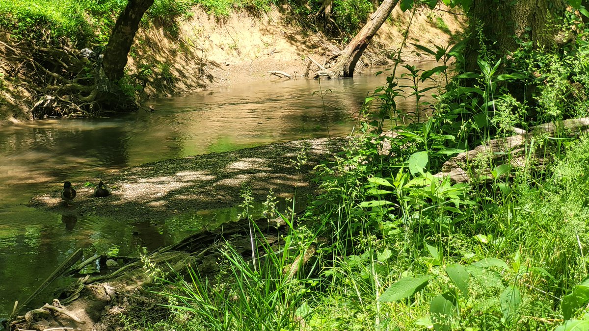 TrailTrailmark1's tweet photo. Nice day on the Greenbelt #KptGreenbelt https://t.co/VpzDpFfdvA