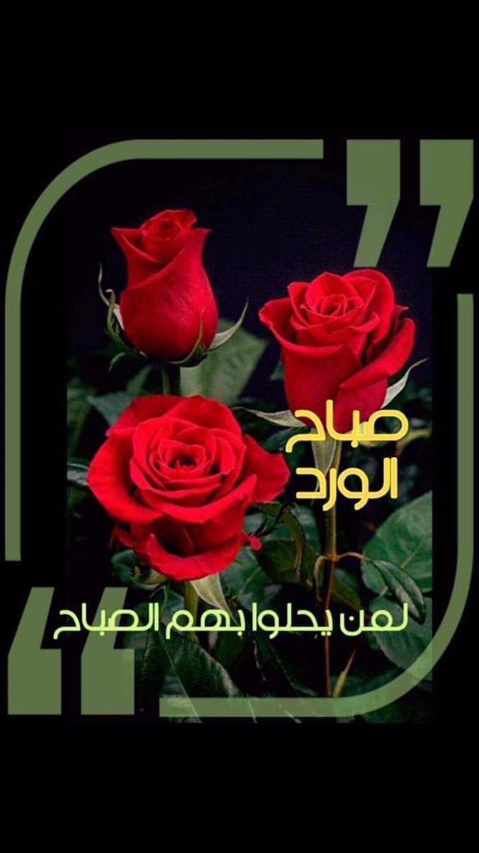 Abd Elfatah Taha tweet media