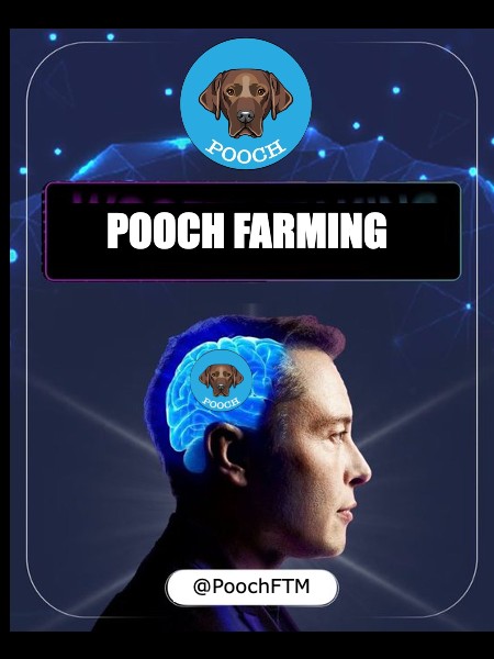 PoochFTM's tweet photo. Check out the degen rewards on offer at https://t.co/IckRCouRFK At $POOCH $FTM: we reward our HODLERs handsomely! https://t.co/rgtizeGtAr