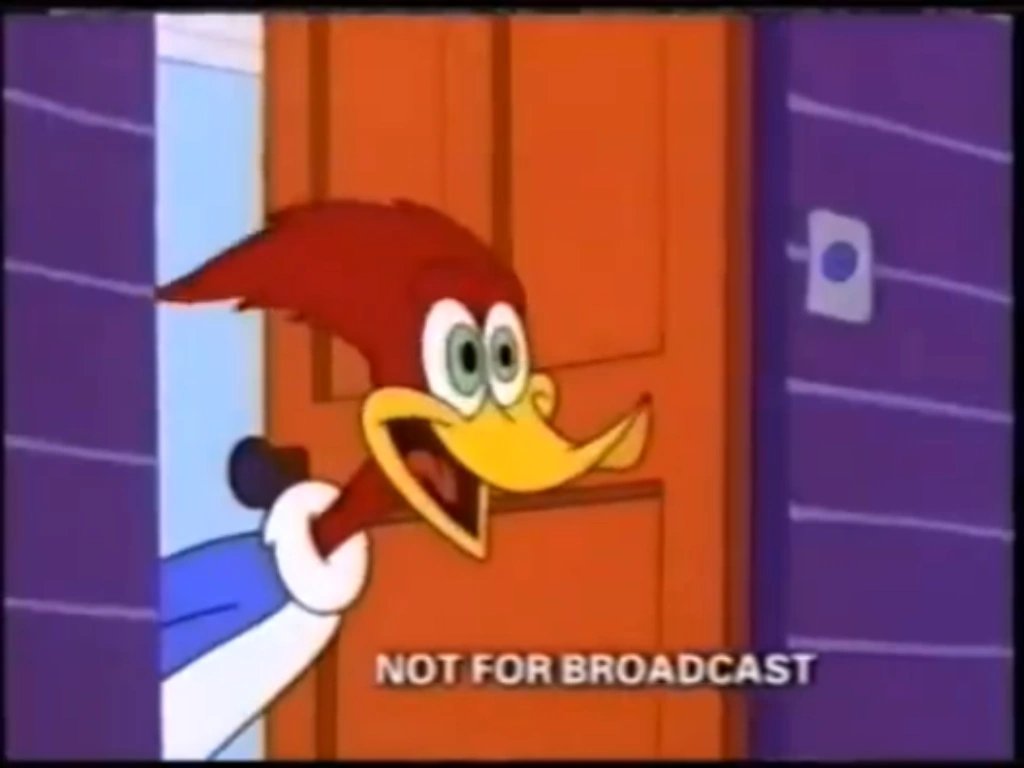 k50cullen's tweet photo. In 1999 and 23 Years Ago, #TheNewWoodyWoodpeckerShow premiered on Fox Kids on this day RT and Like if you remember this show. (@TheBillyWest, @MarkHamill, #AndreaMartin, #BJWard, @Jimcummingsacme, @RealEGDaily, #NikaFutterman, #BobJaques, #KellyArmstrong, #SeanRoche, https://t.co/VAnSGYk2P2