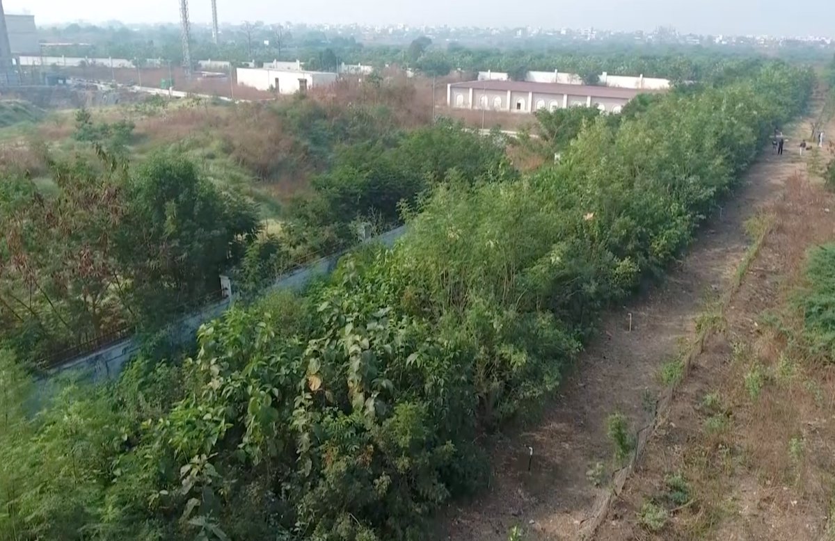 Greenyatra's tweet photo. #DumpYards to Lush Green #UrbanForest in less than 2 
 years
#Bhandewadi Dumping Yard, #Nagpur

It was a really tough project on ground and execution during #CovidPandemic. 

Thank you @ngpnmc @abhijitbangar @AUThackeray https://t.co/fRrysZJaKP