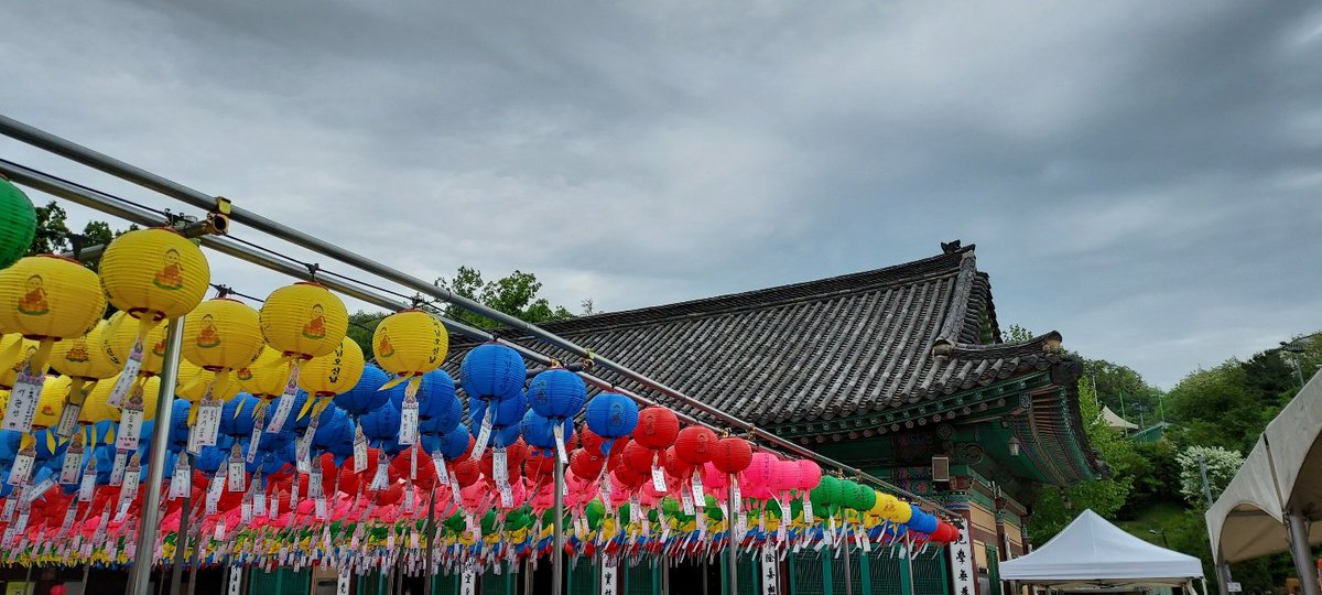 韓国は仏様の誕生日なので寺で行事をします!新鮮なごはんも無料! 
