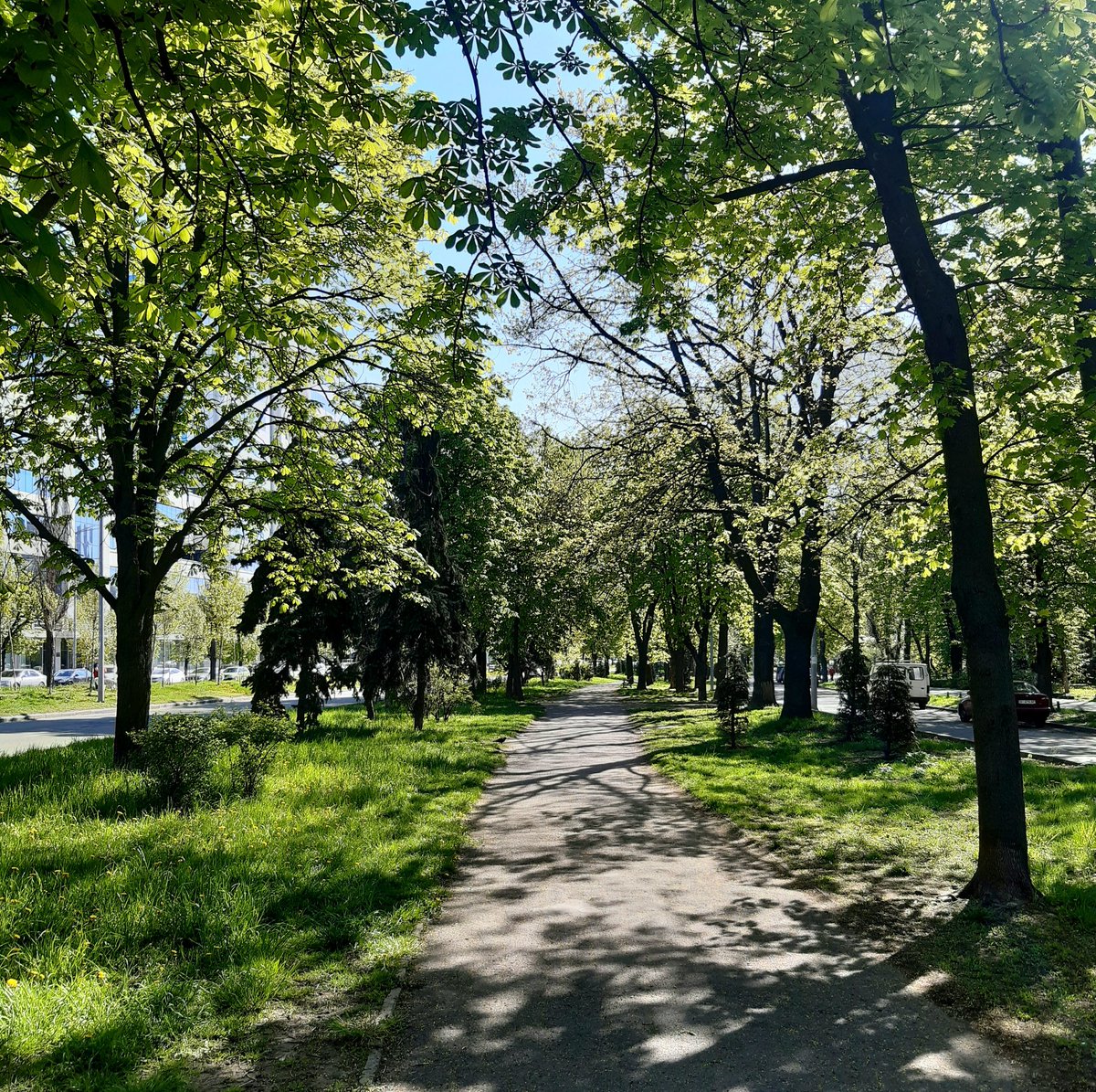 AxelPhuket's tweet photo. Good morning Kyiv 🇺🇦!
We have the best weather on Earth at the moment 🌞. The city is a big garden, the air is fresh.
I am expecting better news today and wish you a nice Sunday! ✌💙💛 https://t.co/g5VURF9iWi