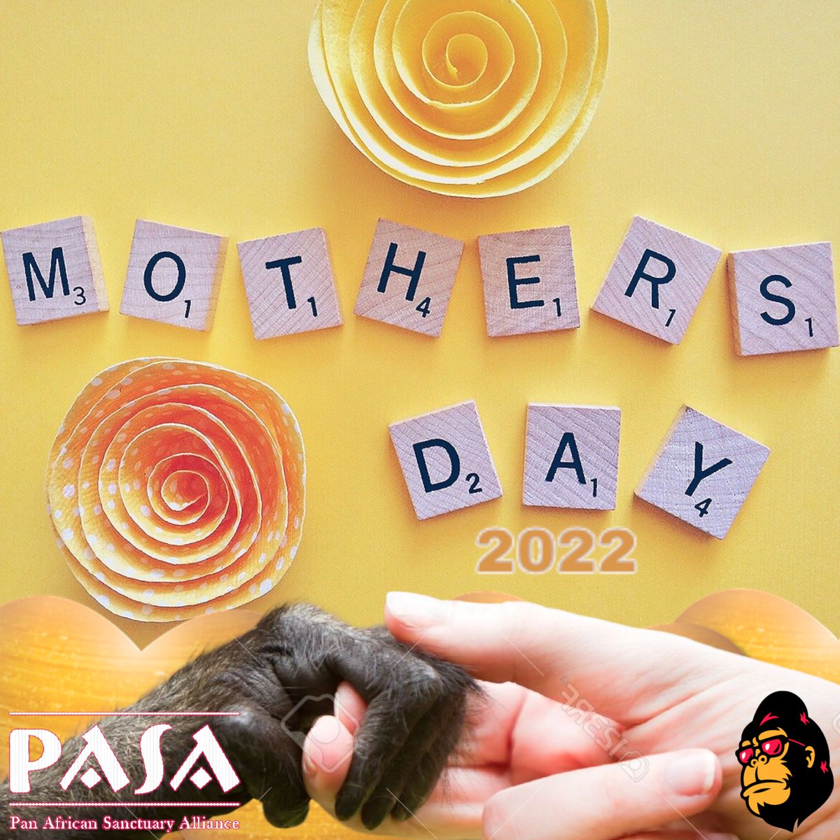 CryptoLionAngel's tweet photo. “The Hand That Rocks the Cradle Is the Hand That Rules the World" 
- William Ross Wallace

Happy Mother’s Day to those who rocked a cradle (their own babies or not) 💖💖💖. ~ FEG family. @FEGtoken @pasaprimates @FEGpaulmc @lifeisdefi @FeggyWap @vikingo7987 @portiaderossi https://t.co/HM8GRQf1l2