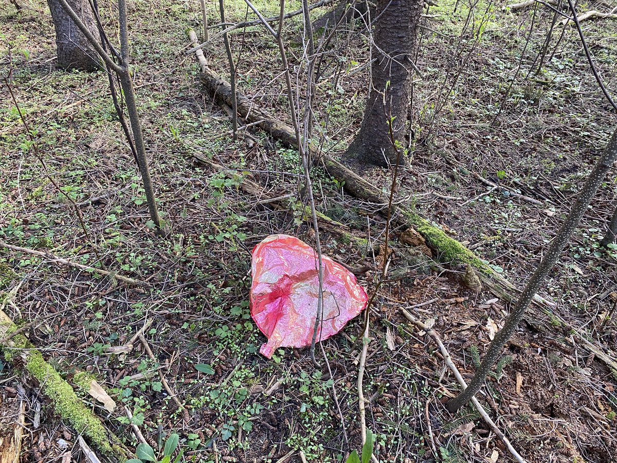 🇨🇦✍️Help us ban plastic🎈releases tweet media