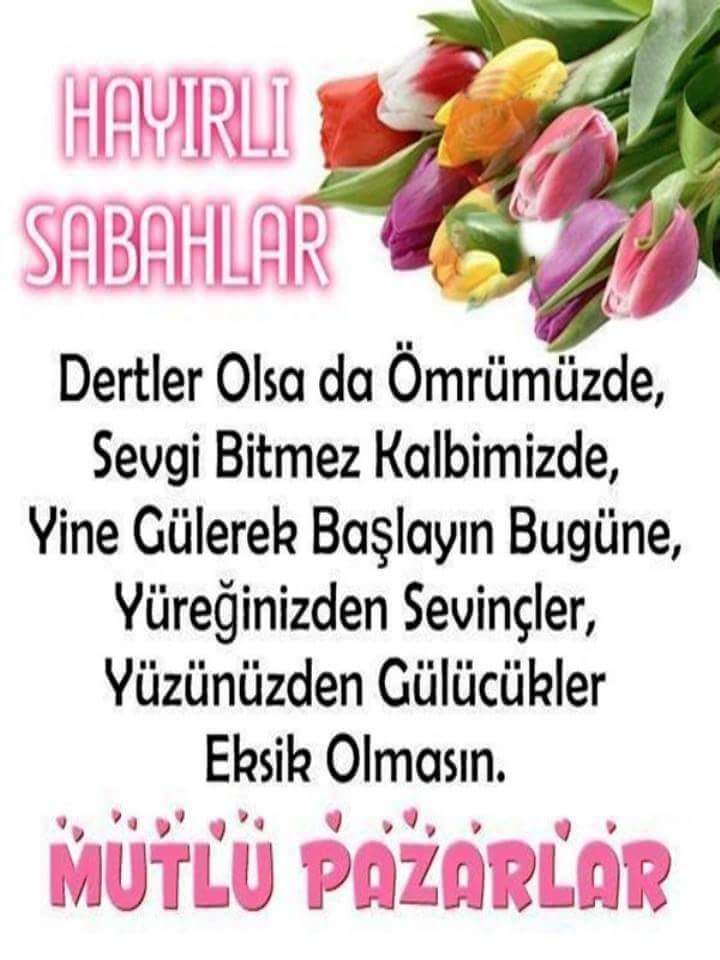 m 4 d E n L i (@madenlidogan) on Twitter photo 