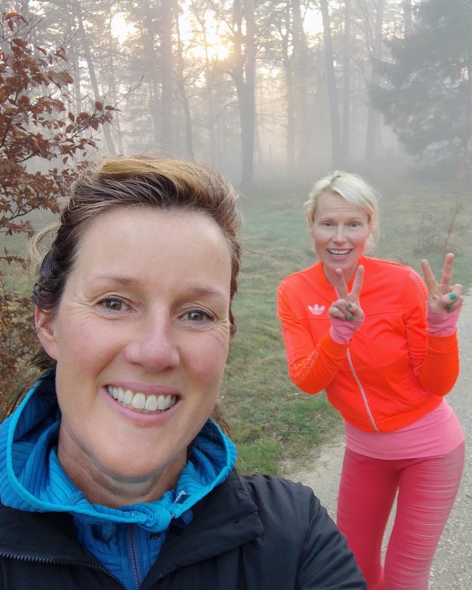 TarzanInteriorDesign tweet media