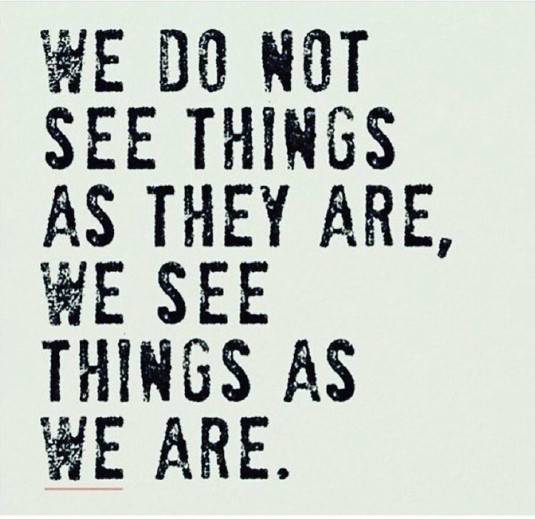 TarzanInteriorDesign tweet media