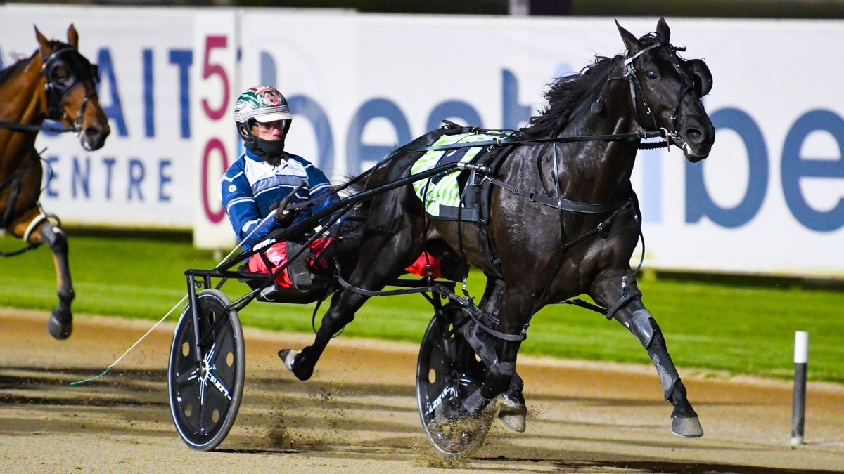 grsugars's tweet photo. Last night I was lucky enough to bring up my 50th Group 1 winner. Thank you to all the owners and trainers that have supported me over the last 20 years. I have been truly blessed to have so many wonderful people behind me. #Grp1 #blackjack #thetrots https://t.co/rrDsup1Adu