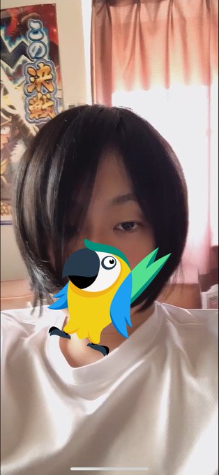 ぼく髪の毛むしゃむしゃくん!!!!!!!!!!!! 