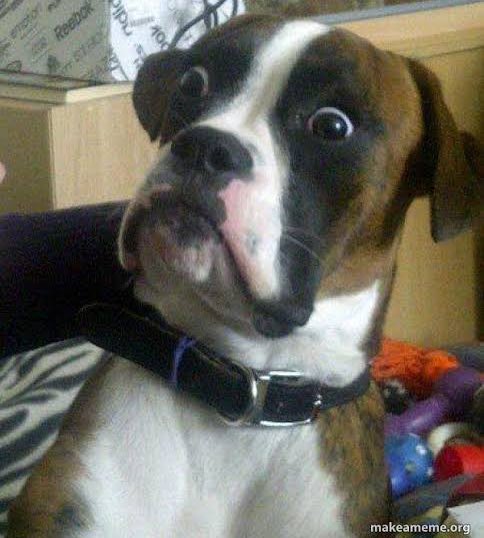 LizbethGarciaOf's tweet photo. Mi cara al ver al canelo cargando en plena pelea a @bivol_d https://t.co/qU1eVPca49