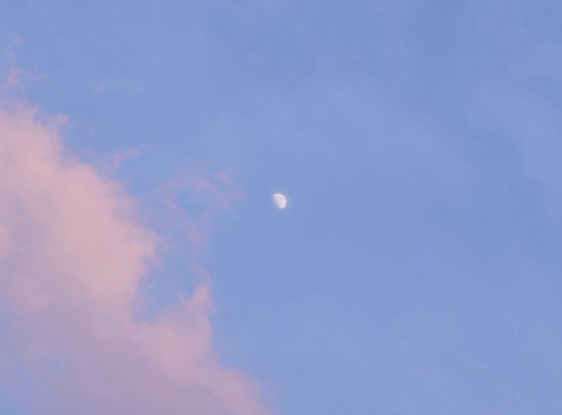 kimbapjapchae's tweet photo. seonho’s shot and my shot ☁️ https://t.co/Q9nXSBZMHT