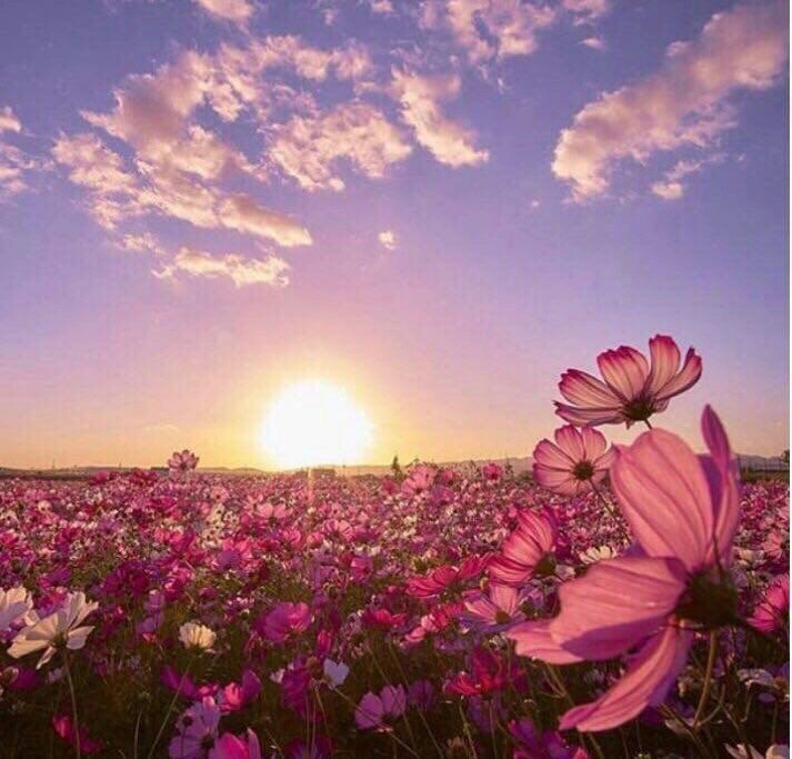 قالت : 
      ماذا لو كانت اليد التي تتمسك بها تريد إفلاتك ؟

.
.
#صباح_الخير
