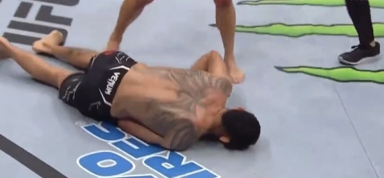FrozenPorkChop's tweet photo. Me watching the Rose vs Carla fight #UFC274 #UFC274Live https://t.co/8eSjxdcqYX