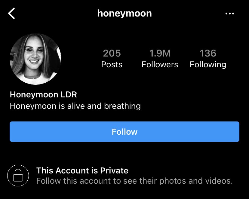 LDRHoneymoonIG's tweet photo. Lana Del Rey has gone private on her @honeymoon Instagram account. https://t.co/dnyKGvggKg