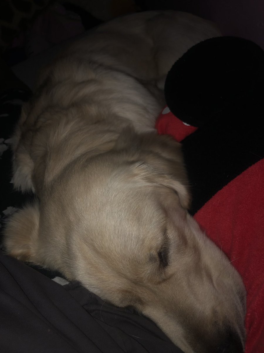 My baby know that I am in need of cuddles.