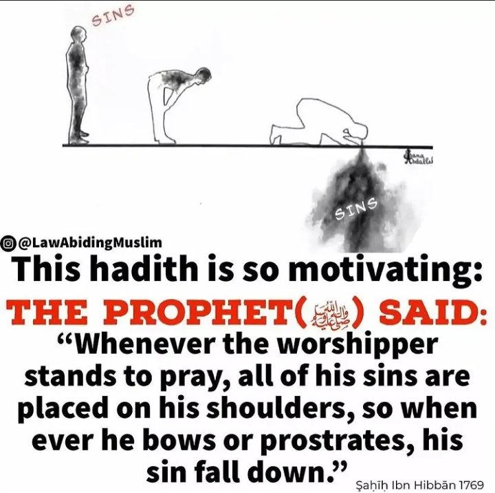 AM_Saleeeem's tweet photo. Today's Motivation!🌝 https://t.co/kpsN3TNKep