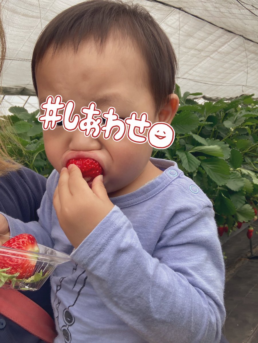 みんなの ストロベリーハウス 口コミ 評判 食べたいランチ 夜ごはんがきっと見つかる ナウティスイーツ