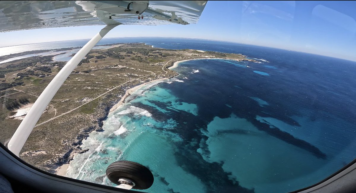 NickJones56's tweet photo. Rottnest island day tripping https://t.co/HKGHY2HfAF