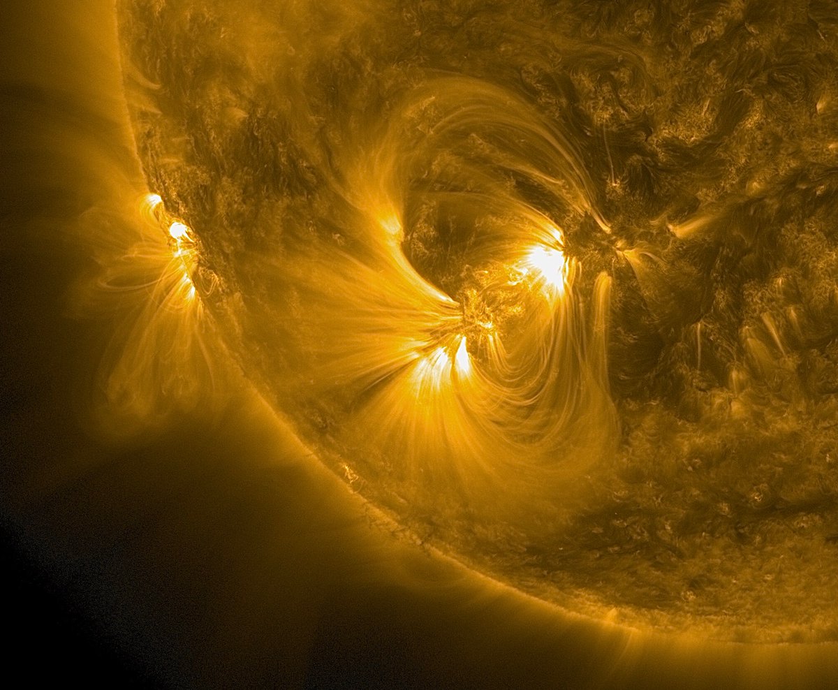 DLR_next tweet media