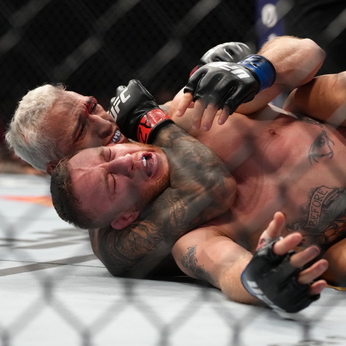 UFCBrasil's tweet photo. 1️⃣6️⃣ finalizações!

[ 🇧🇷 @CharlesdoBronxs | #UFC274 ] https://t.co/y868DarvSb