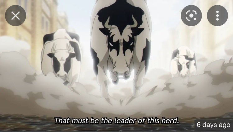 Japanese anime, SPY X FAMILY.