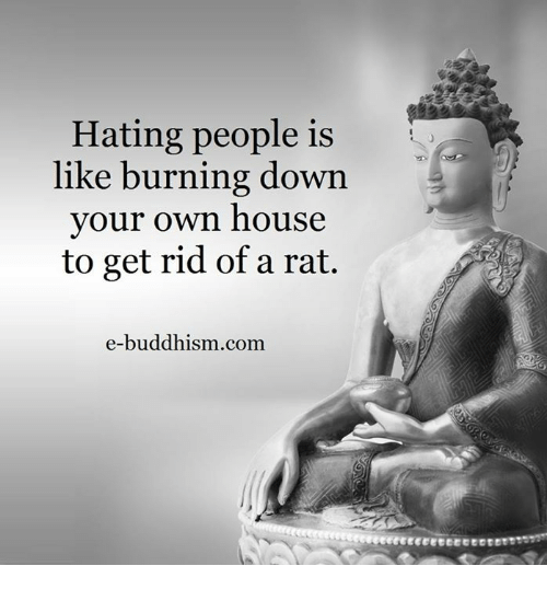 nitinbhatia121's tweet photo. 🔴🔴 Sunday Motivation https://t.co/gmb2UQp9EC