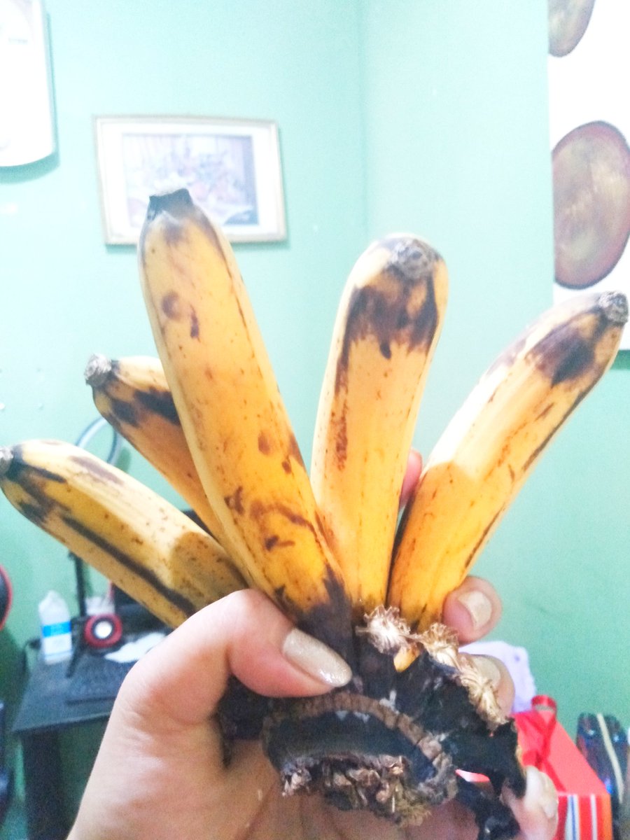 STAYCHAVEN's tweet photo. My banana Lightstick is ready. Don't mind my bananas they're stocked hmm almost 1 week HAHAHAHAH
#STAYC #KCON2022Premiere #KCONSTAYC https://t.co/M7bTw64Koh