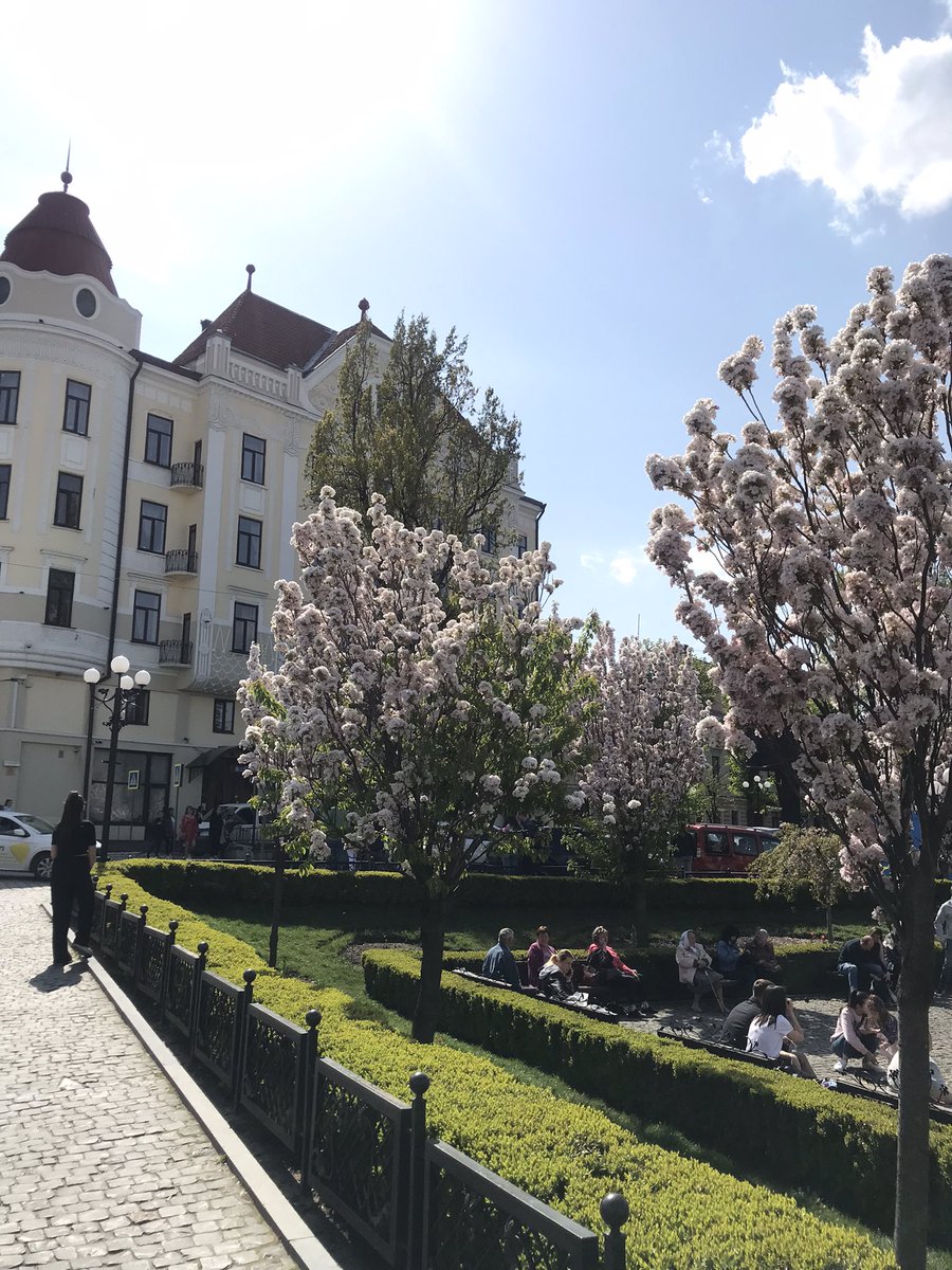 irinaromashkin1's tweet image. Чернівці 😍😍😍, розквітли сакури 🌸